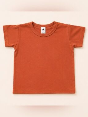 Little & Lively Kids Rust Tshirt / Bamboo Kids Clothing / Small Shop / Summer
